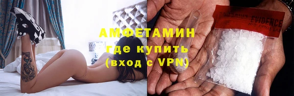 хмурый Магас