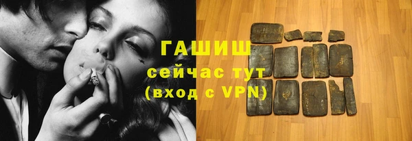 хмурый Магас