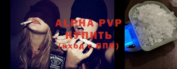 хмурый Магас