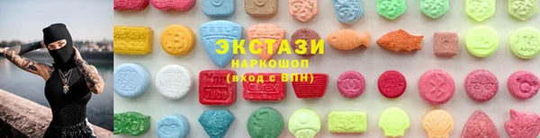 хмурый Магас