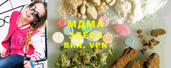 хмурый Магас