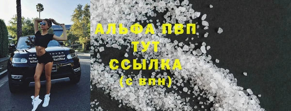 хмурый Магас