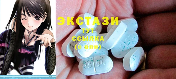 хмурый Магас