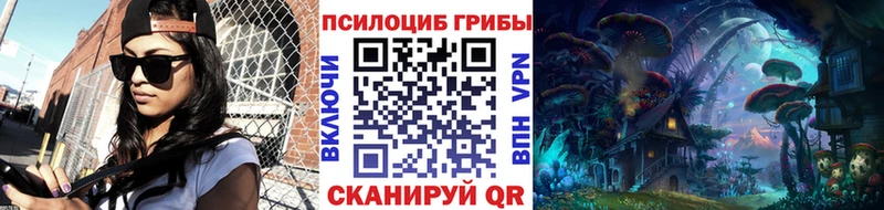Псилоцибиновые грибы Psilocybe  Купить где  Котлас 